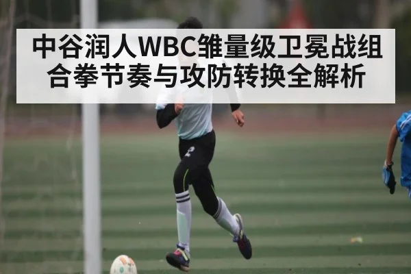 中谷润人WBC雏量级卫冕战组合拳节奏与攻防转换全解析 - HTH.com